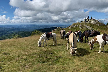 Voyage à cheval en Equateur - Randonnée équestre organisée par Randocheval