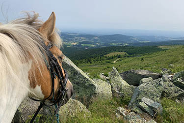 Voyage à cheval en Equateur - Randonnée équestre organisée par Randocheval