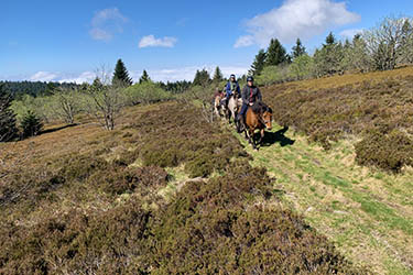 Voyage à cheval en Equateur - Randonnée équestre organisée par Randocheval