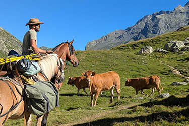 Rando Cheval en Savoie FRANCE - Voyage &agrave; cheval