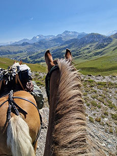 Randonnee en Savoie au pied des montagnes - Randocheval