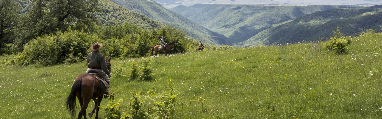 Randonnée équestre en Croatie / randocheval - Absolu voyages