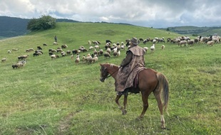 Randonnée équestre en Croatie / randocheval - Absolu voyages