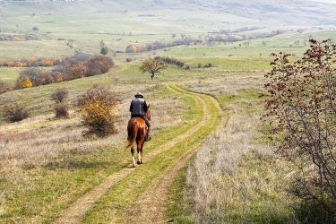 Rando Cheval - Voyage à cheval