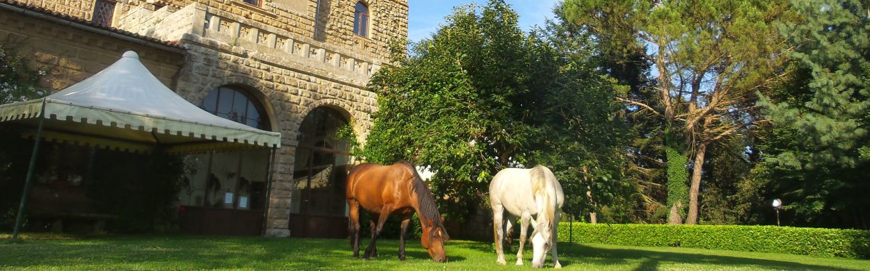 Voyage &agrave; cheval en Toscane - Randonn&eacute;e &eacute;questre et s&eacute;jour dans un ch&acirc;teau organis&eacute;e par Randocheval