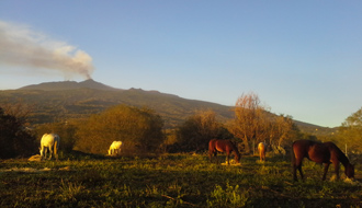 Randonnée à cheval - Un voyage Rando Cheval