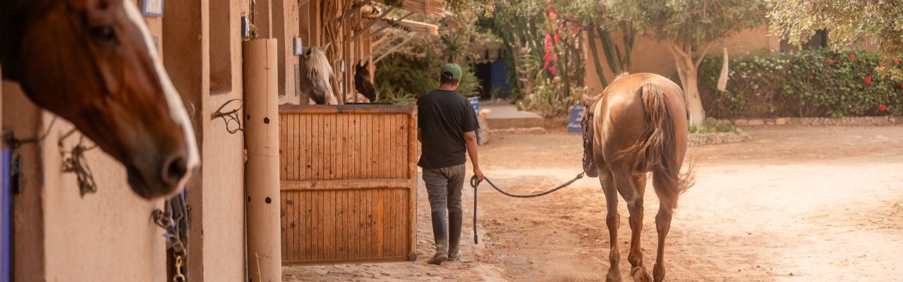 Rando Cheval - Voyage à cheval