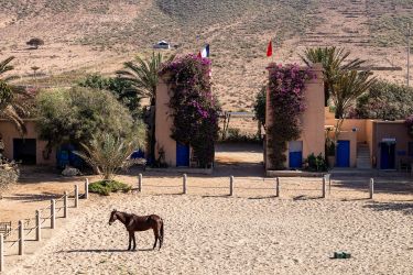 Rando Cheval - Voyage à cheval