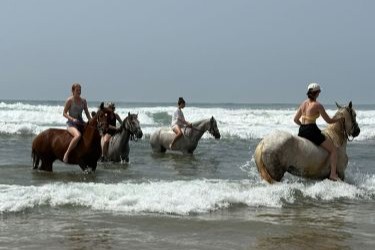 Rando Cheval - Voyage à cheval