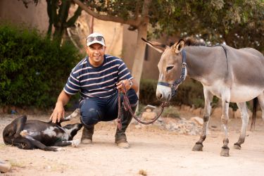 Rando Cheval - Voyage à cheval