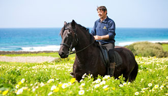 Court séjour ou randonnée d'une semaine à Minorque au pays du cheval noir - RANDOCHEVAL / Absolu Voyages