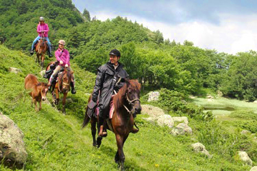 Voyage à cheval au MONTENEGRO - Randonnée équestre organisée par Randocheval