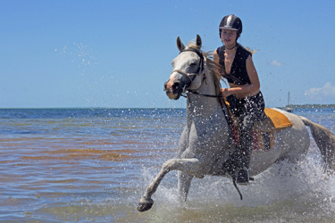 Voyage à cheval au Mozambique - Randonnée équestre organisée par Randocheval