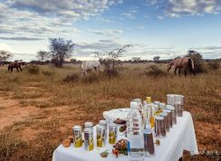 NAMIBIE - Safari à cheval dans une réserve privée - RANDO CHEVAL