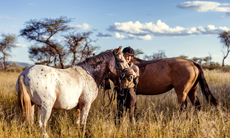 NAMIBIE - Safari à cheval dans une réserve privée - RANDO CHEVAL