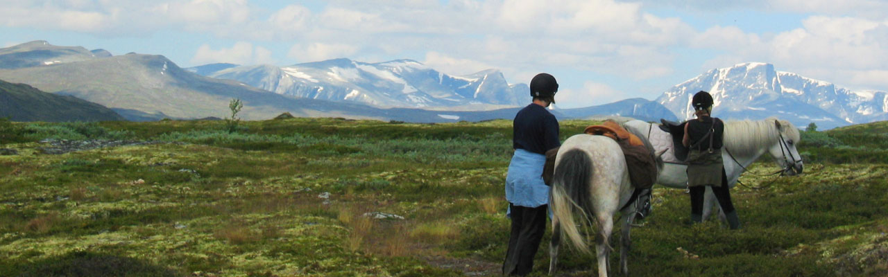 Voyage à cheval - Randonnée équestre organisée par Randocheval