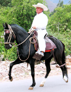 Rando Cheval au Pérou dans la Vallée Sacrée - Voyage à cheval
