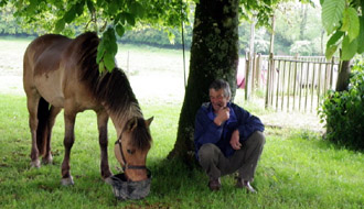 Randonnée à cheval dans le Poitou - RANDOCHEVAL