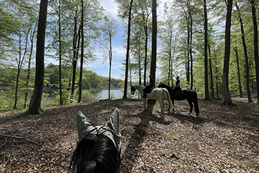 Rando Cheval - Voyage &agrave; cheval