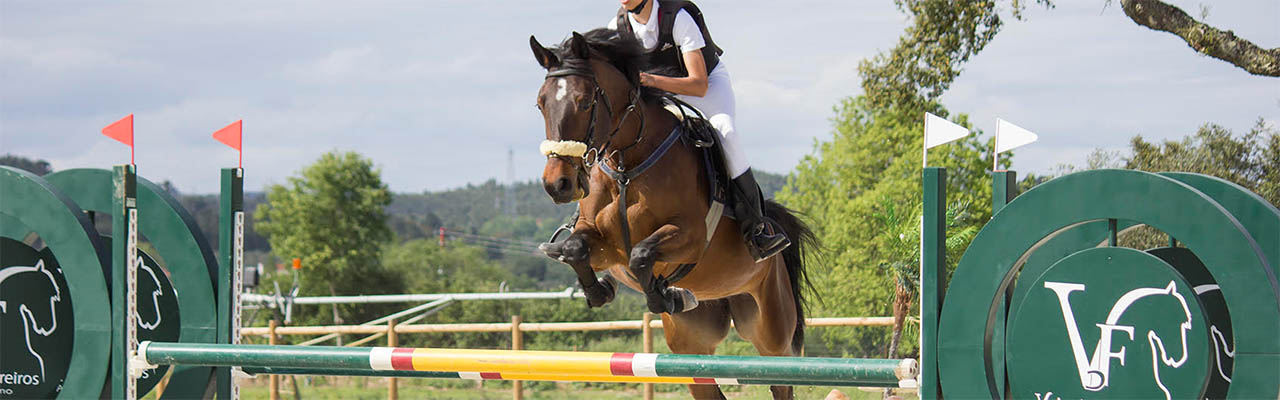Stage CSO cross obstacle équitation