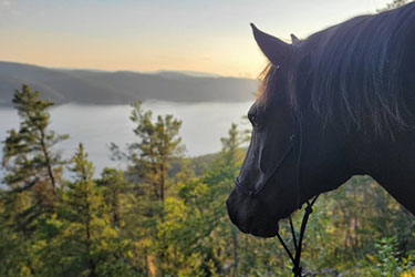 CANADA - Voyage à cheval au Québec - Randonnée équestre Randocheval