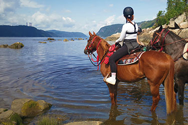 CANADA - Voyage à cheval au Québec - Randonnée équestre Randocheval