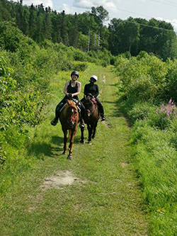 CANADA - Voyage à cheval au Québec - Randonnée équestre Randocheval