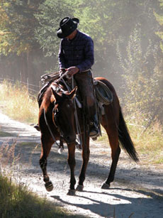 Voyage à cheval et séjour en ranch - Equitation western par Randocheval