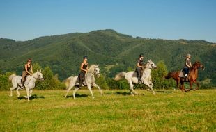 Randonn&eacute;e &eacute;questre en Croatie / randocheval - Absolu voyages