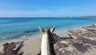 Randonnée à cheval - Un voyage Rando Cheval