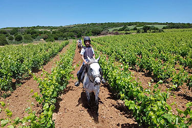 Voyage et aventure à cheval en Sicile - Randonnée équestre en Italie organisée par Randocheval