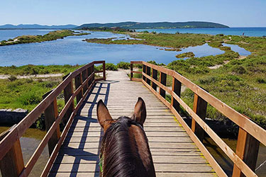 Voyage et aventure à cheval en Sicile - Randonnée équestre en Italie organisée par Randocheval