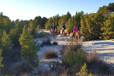 Voyage et aventure à cheval en Sicile - Randonnée équestre en Italie organisée par Randocheval