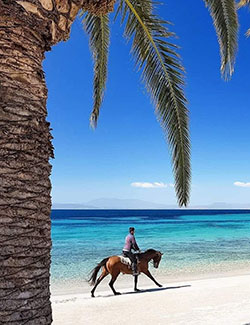 Voyage et aventure à cheval en Sicile - Randonnée équestre en Italie organisée par Randocheval