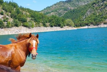 Voyage &agrave; cheval en BOSNIE - Randonn&eacute;e &eacute;questre organis&eacute;e par Randocheval
