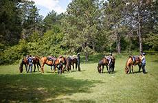 Ce safari combin&eacute; Waterberg / Limpopo est destin&eacute; aux cavaliers exp&eacute;riment&eacute;s - Randocheval / Absolu Voyages