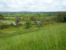 Paysage de rizières au Sri Lanka - Randocheval