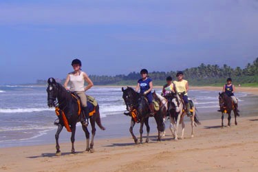 Voyage à cheval - Randonnée équestre au Sri Lanka avec Randocheval