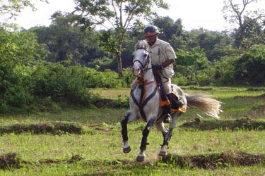 Voyage à cheval - Randonnée équestre au Sri Lanka avec Randocheval
