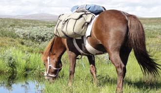 Voyages d'aventure à cheval et expéditions équestres Patagonie - RANDOCHEVAL