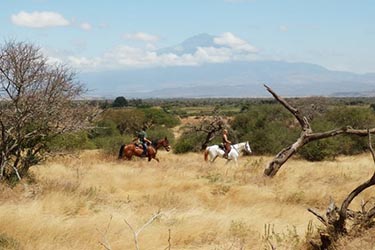 Safari à cheval en Tanzanie - Voyage équestre Kilimandjaro