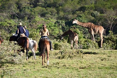 Safari à cheval en Tanzanie - Voyage équestre Kilimandjaro