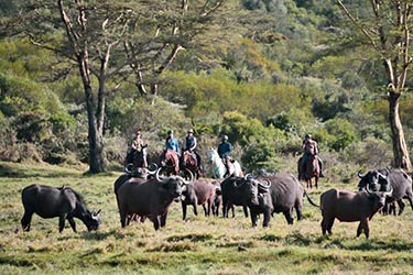 Safari à cheval en Tanzanie (Kilimandjaro)