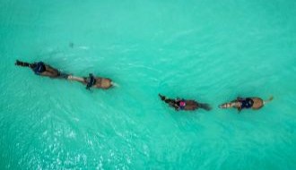 baignade avec les chevaux nager lagon turquoise ocean indien zanzibar