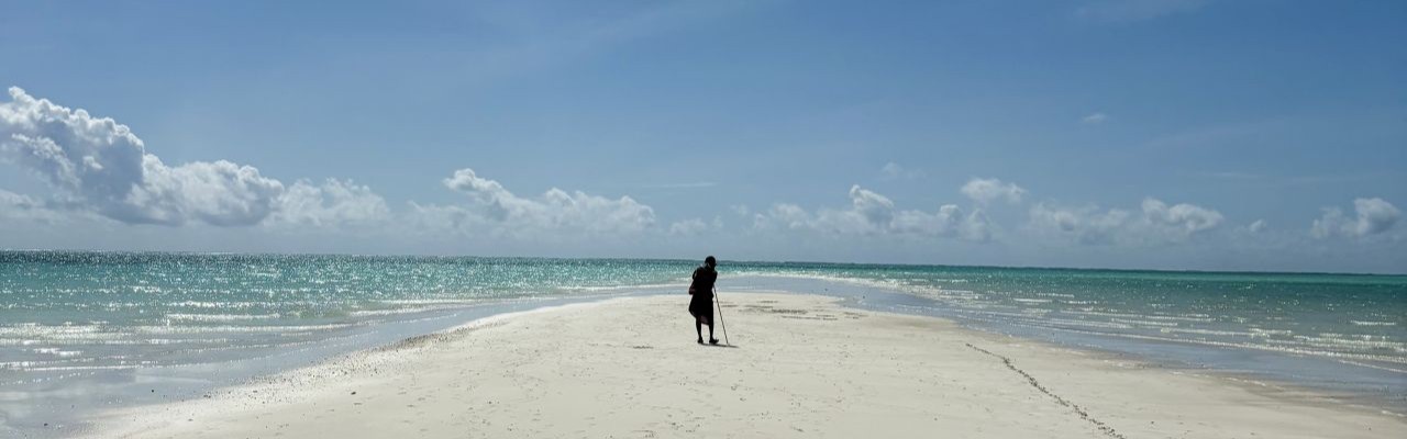 Laissez-vous envoûter par les paysages sauvages et les bancs de sable infinis de l'île de Zanzibar. banc de sable blanc plage deserte mer turquoise ocean indien zanzibar tanzanie