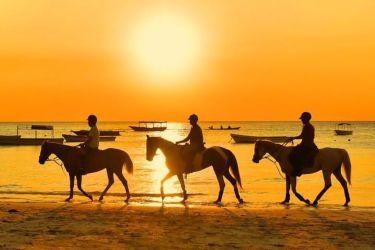 promenade a cheval coucher de soleil plage nungwi zanzibar tanzanie