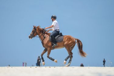 galop a cheval plage sable blanc ocean indien tanzanie