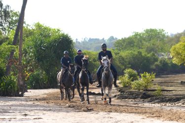voyage a cheval littoral sauvage mangrove cocotier tanzanie zanzibar