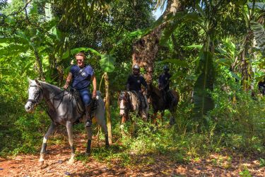 randonnee equestre foret tropicale guides locaux vegetation zanzibar tanzanie