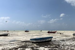 plage maree basse barques bois littoral traditionnel nungwi zanzibar tanzanie